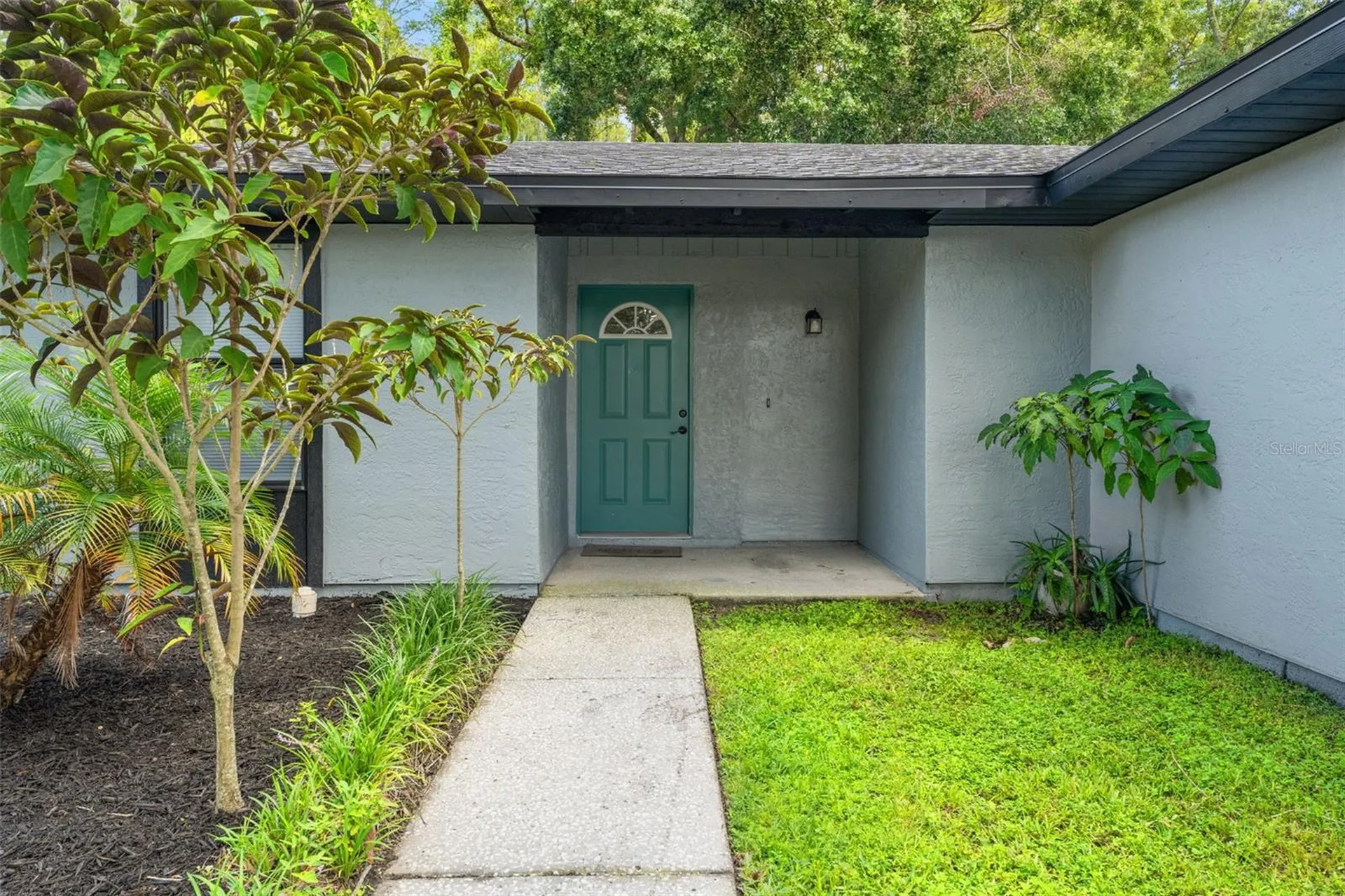 12419 Hidden Brook Drive Tampa FL 33624