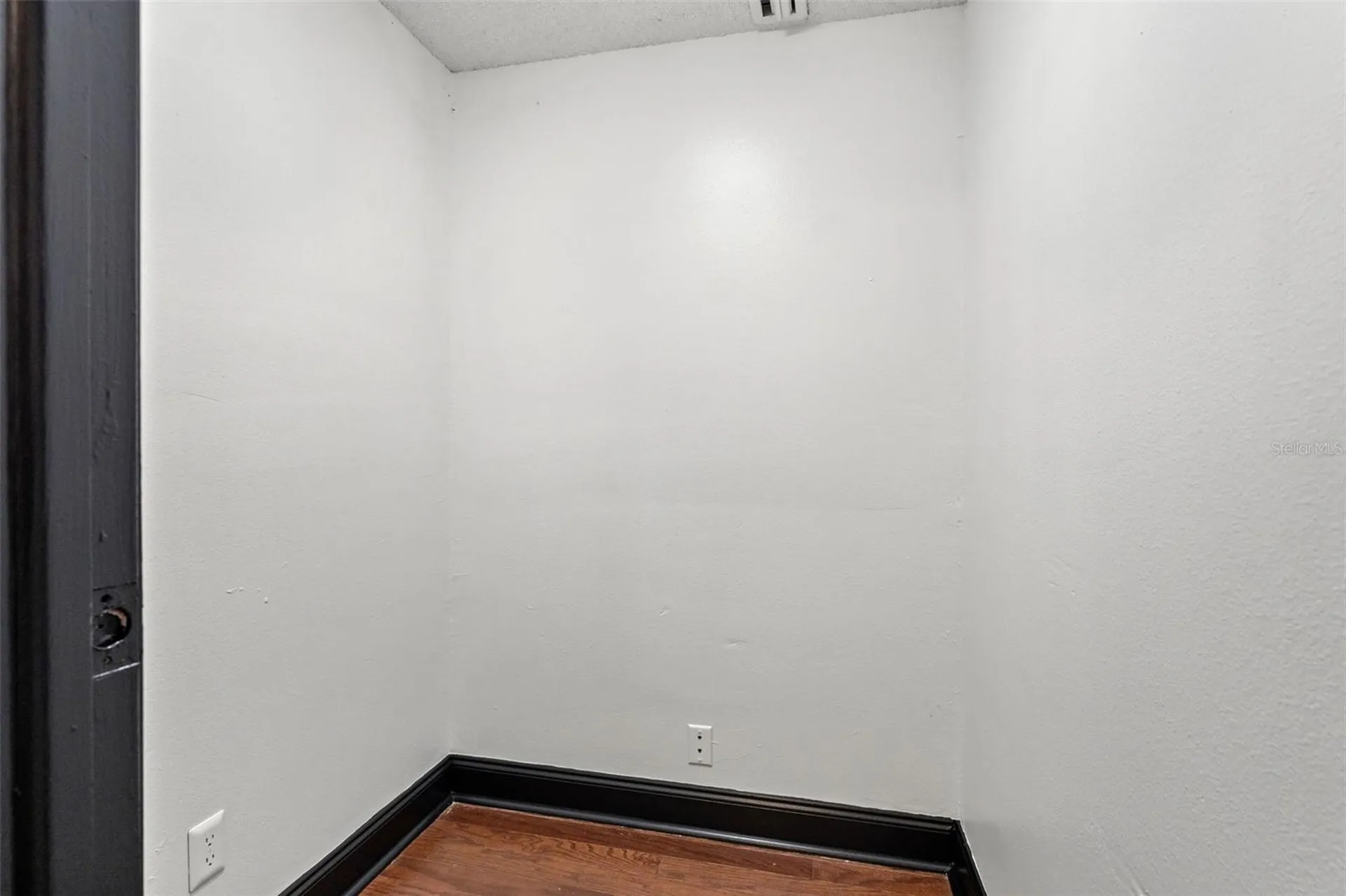 12419 Hidden Brook Drive Tampa FL 33624