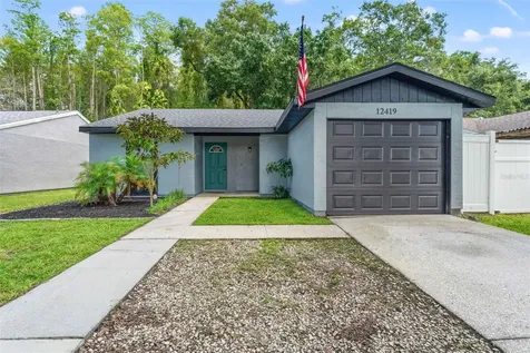 12419 Hidden Brook Drive Tampa FL 33624