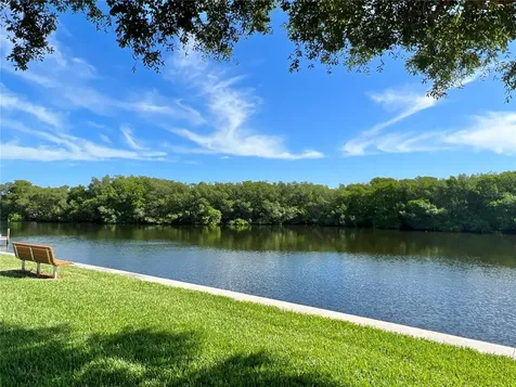 217 Mount Piney Avenue NE St Petersburg FL 33702