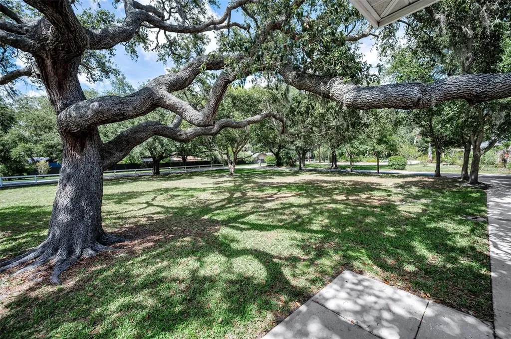 3525 Fairview Street Safety Harbor FL 34695