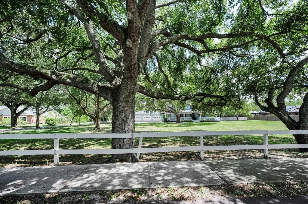 3525 Fairview Street Safety Harbor FL 34695