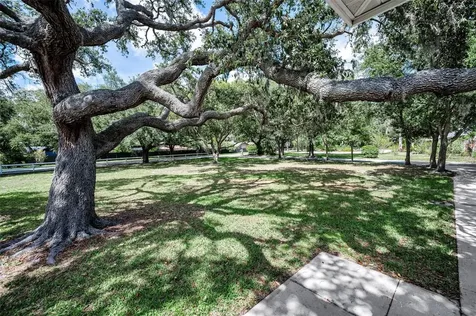3525 Fairview Street Safety Harbor FL 34695