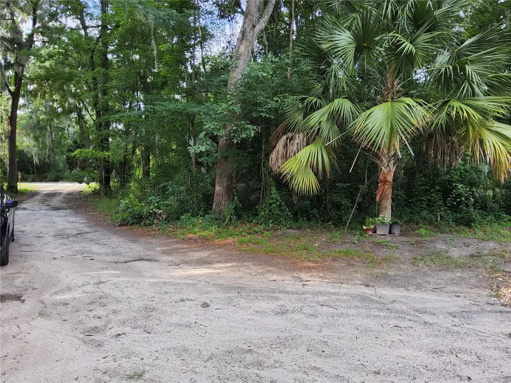 3200 SE 107th Place Ocala FL 34480