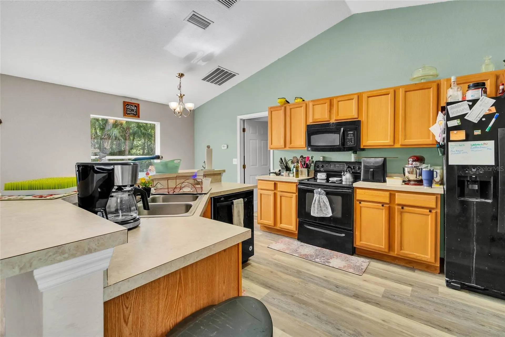 9 Sequoia Loop Lane Ocklawaha FL 32179
