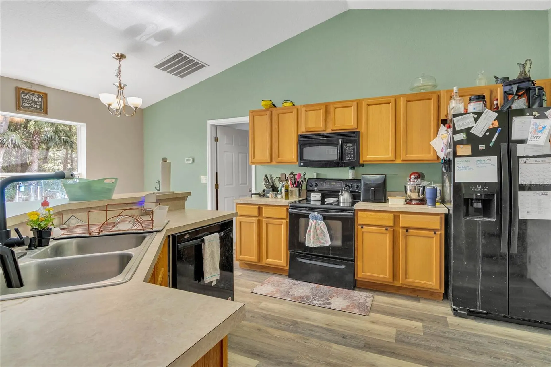 9 Sequoia Loop Lane Ocklawaha FL 32179