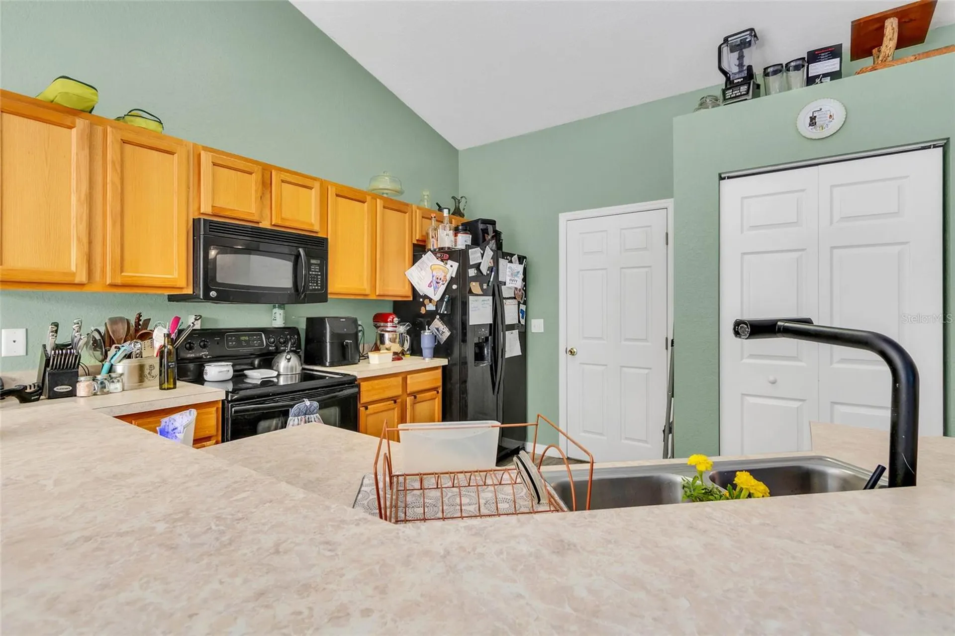 9 Sequoia Loop Lane Ocklawaha FL 32179