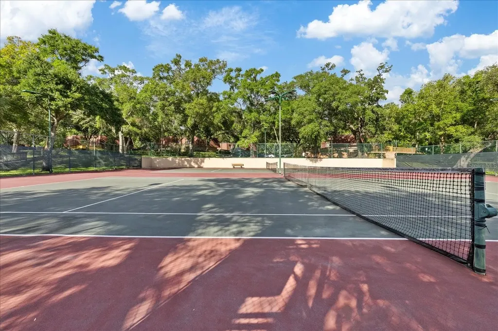 2603 2nd Court Palm Harbor FL 34684