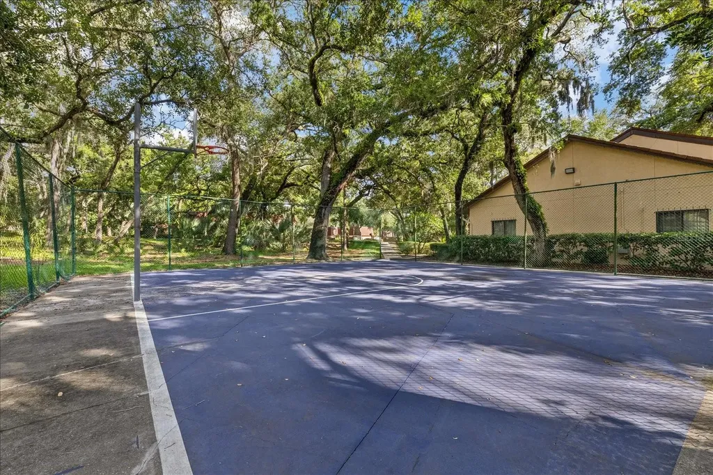 2603 2nd Court Palm Harbor FL 34684