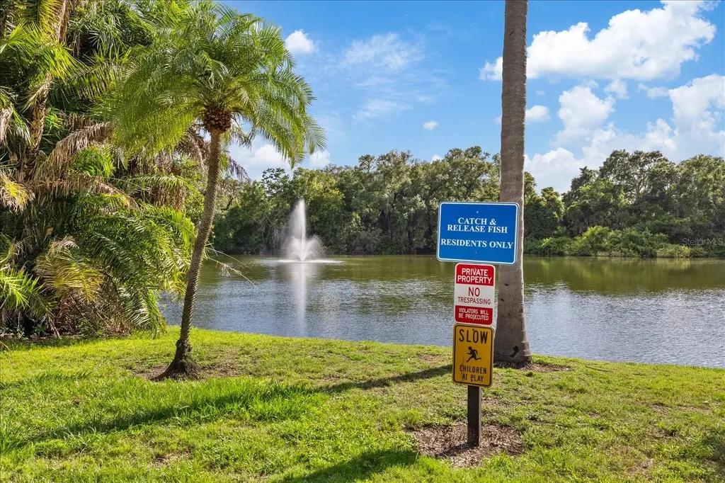 2603 2nd Court Palm Harbor FL 34684