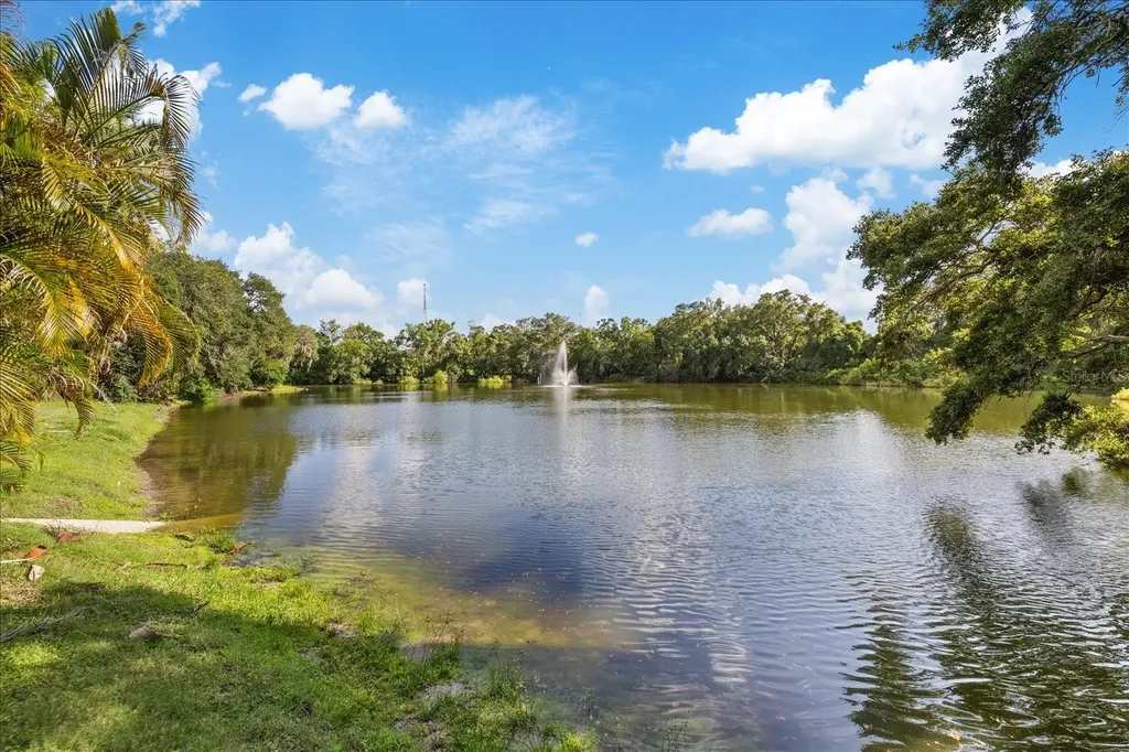 2603 2nd Court Palm Harbor FL 34684