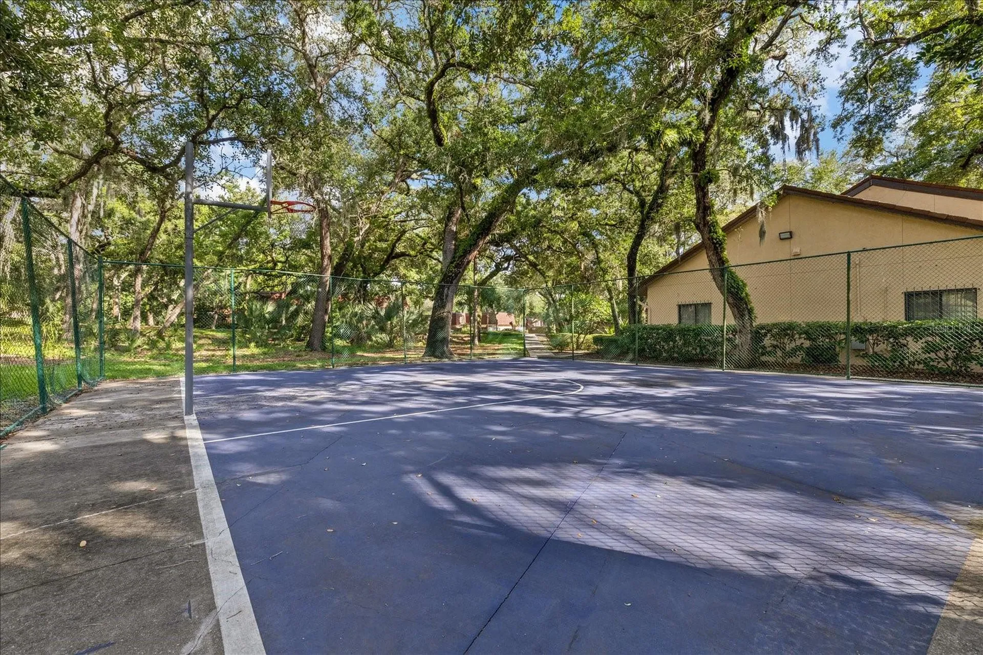 2603 2nd Court Palm Harbor FL 34684