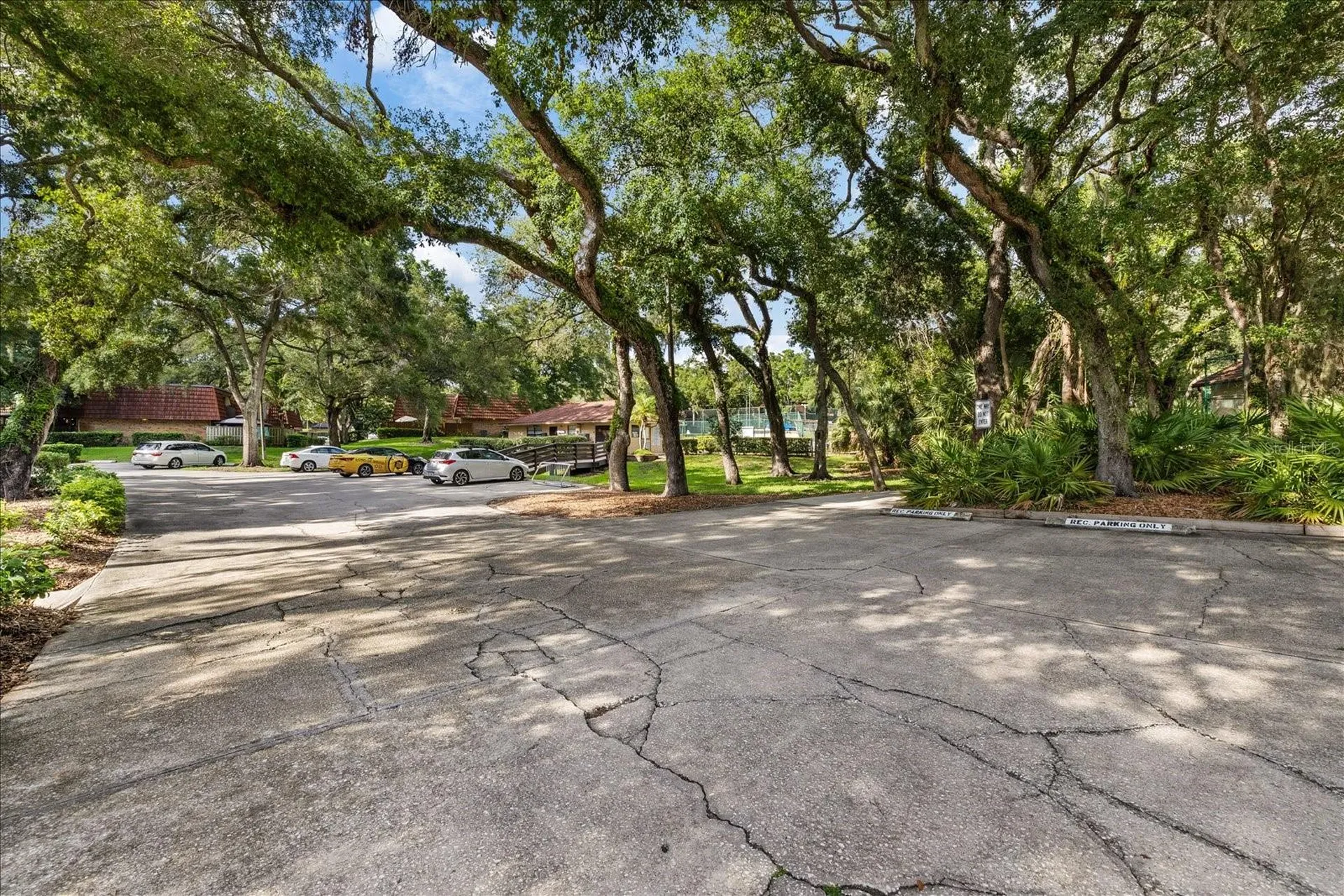 2603 2nd Court Palm Harbor FL 34684