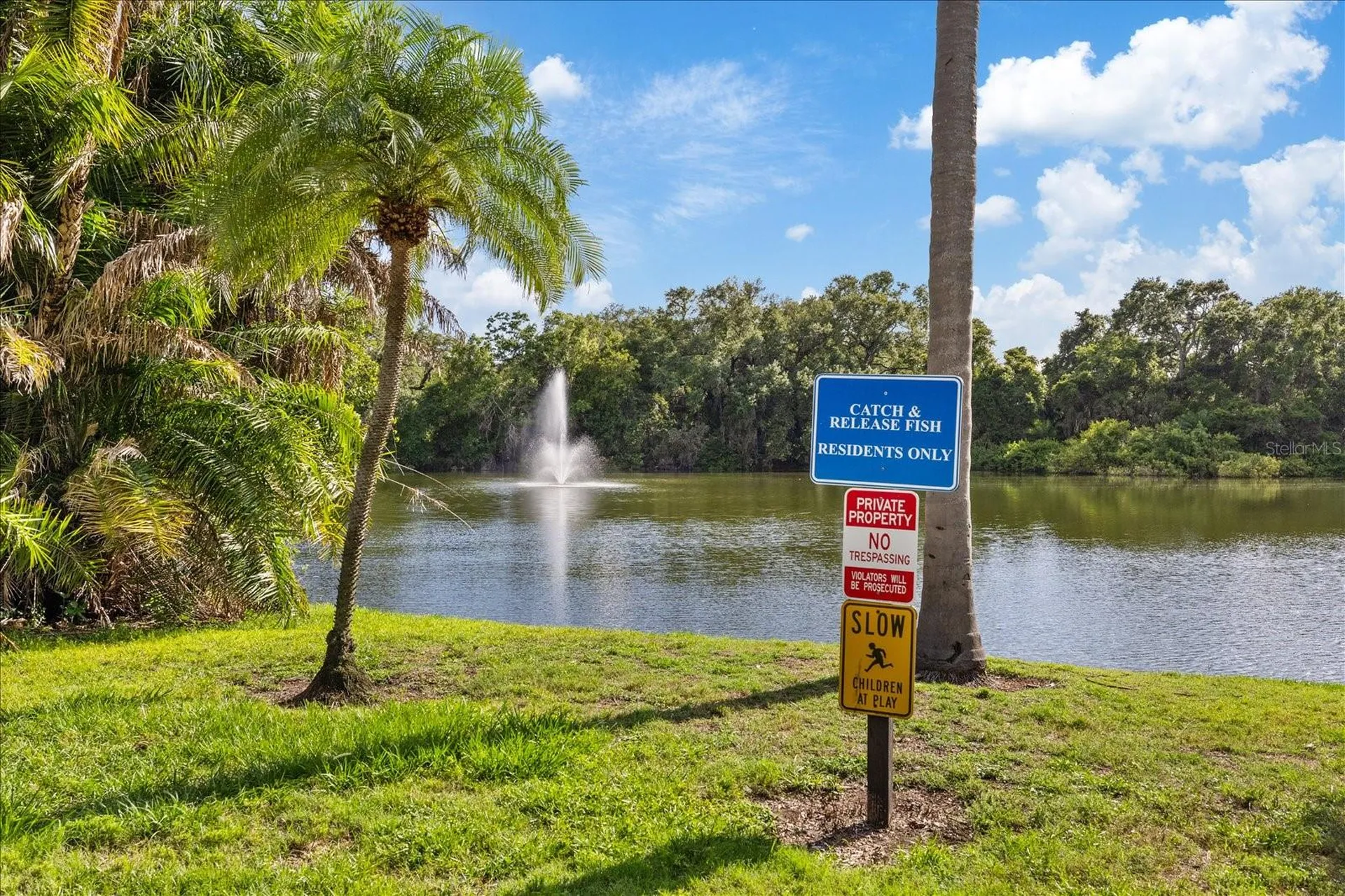 2603 2nd Court Palm Harbor FL 34684
