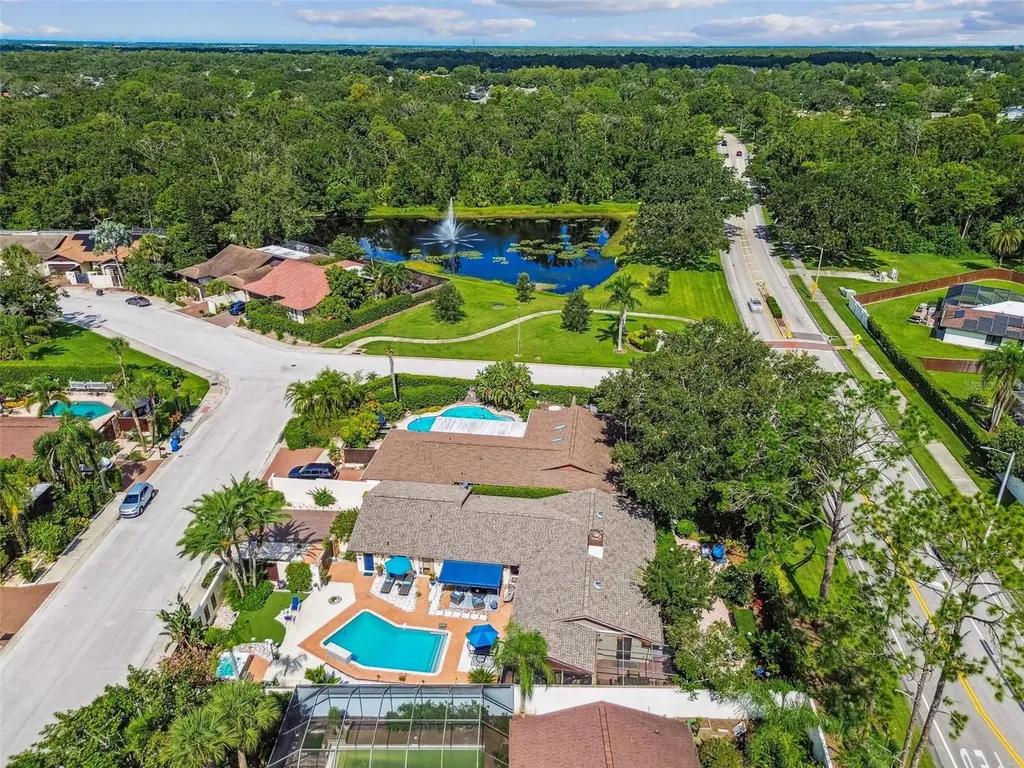 5004 Paloma Drive Tampa FL 33624