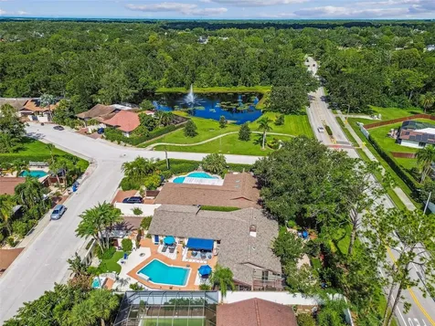 5004 Paloma Drive Tampa FL 33624