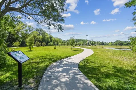 5004 Paloma Drive Tampa FL 33624