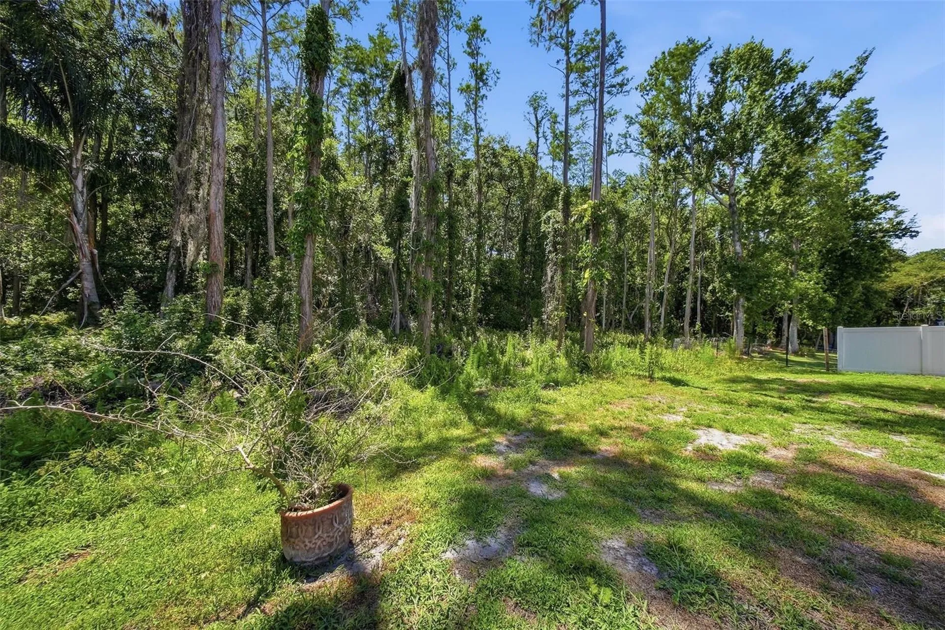 16604 E Course Drive Tampa FL 33624