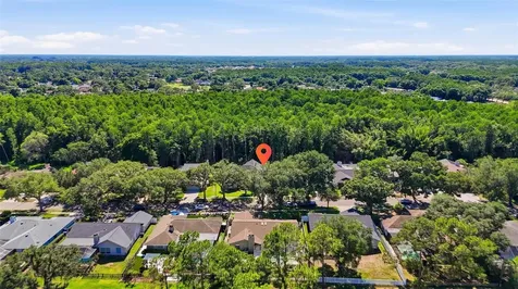 16604 E Course Drive Tampa FL 33624