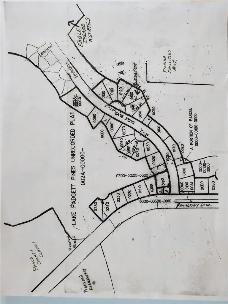 0000 Eagle Boulevard Land O Lakes FL 34639