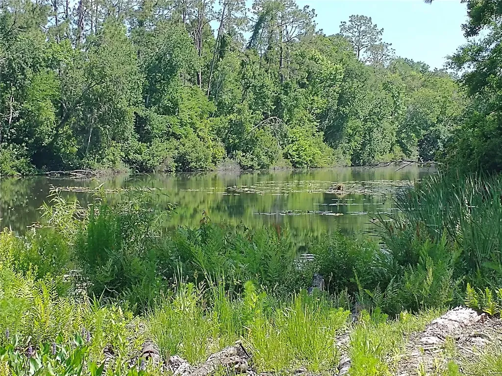 0000 Eagle Boulevard Land O Lakes FL 34639