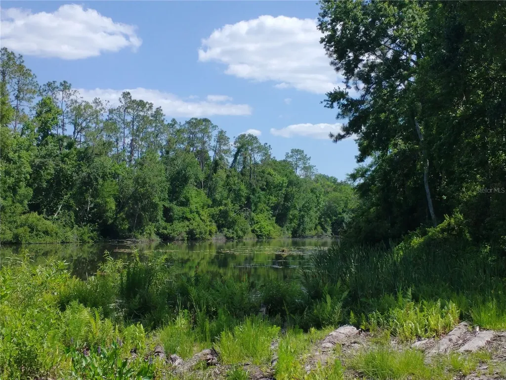 0000 Eagle Boulevard Land O Lakes FL 34639