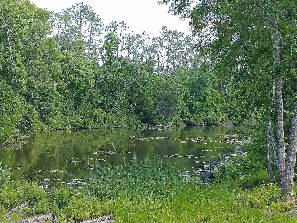 0000 Eagle Boulevard Land O Lakes FL 34639