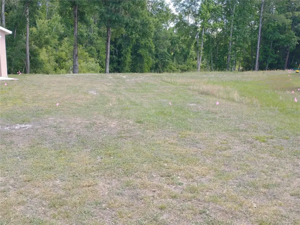 0000 Eagle Boulevard Land O Lakes FL 34639