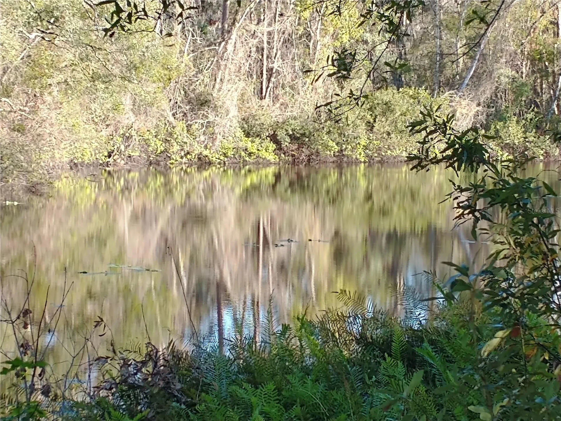 0000 Eagle Boulevard Land O Lakes FL 34639