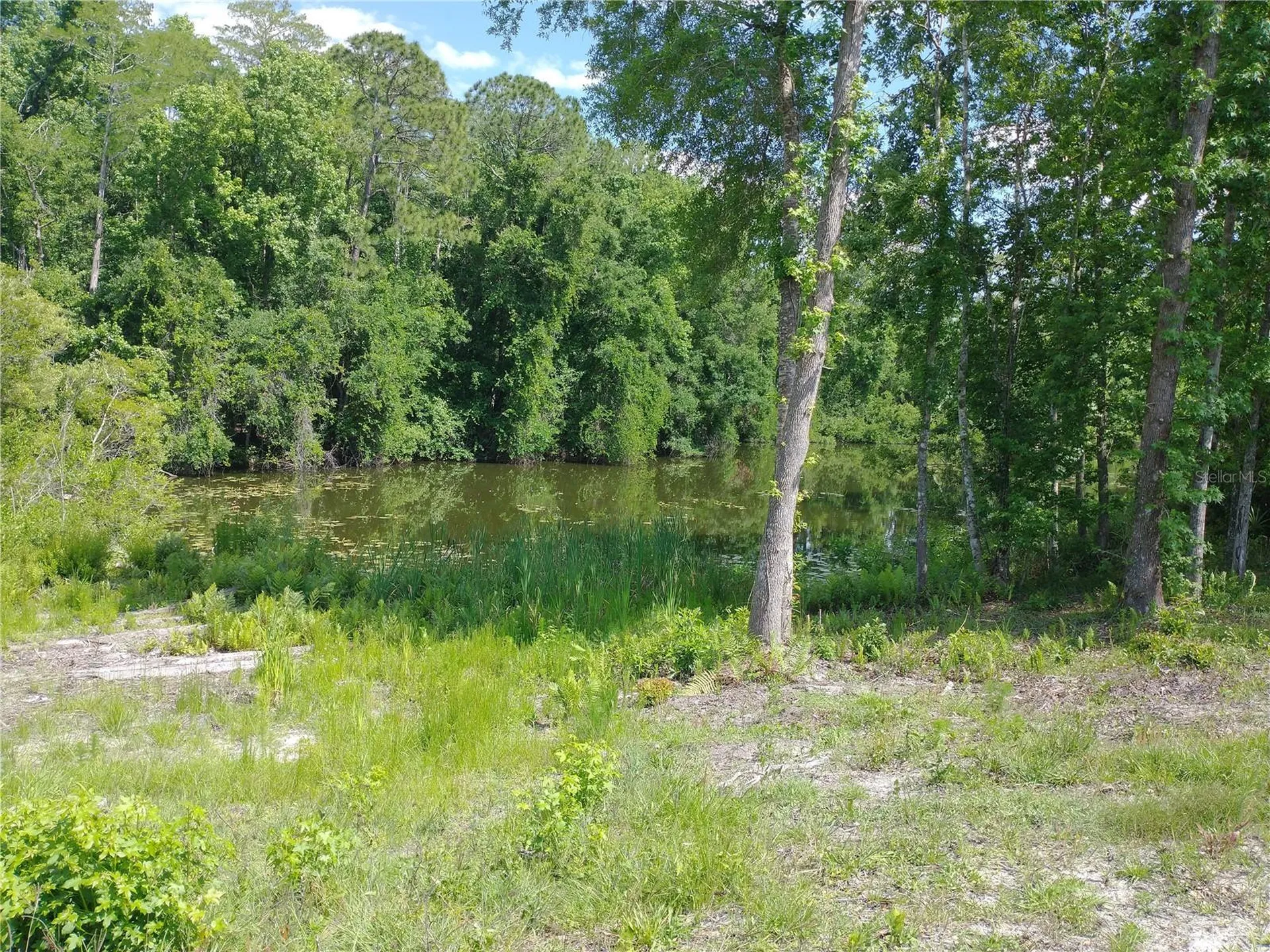 0000 Eagle Boulevard Land O Lakes FL 34639