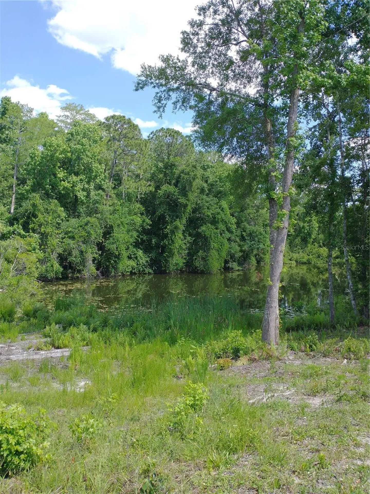 0000 Eagle Boulevard Land O Lakes FL 34639