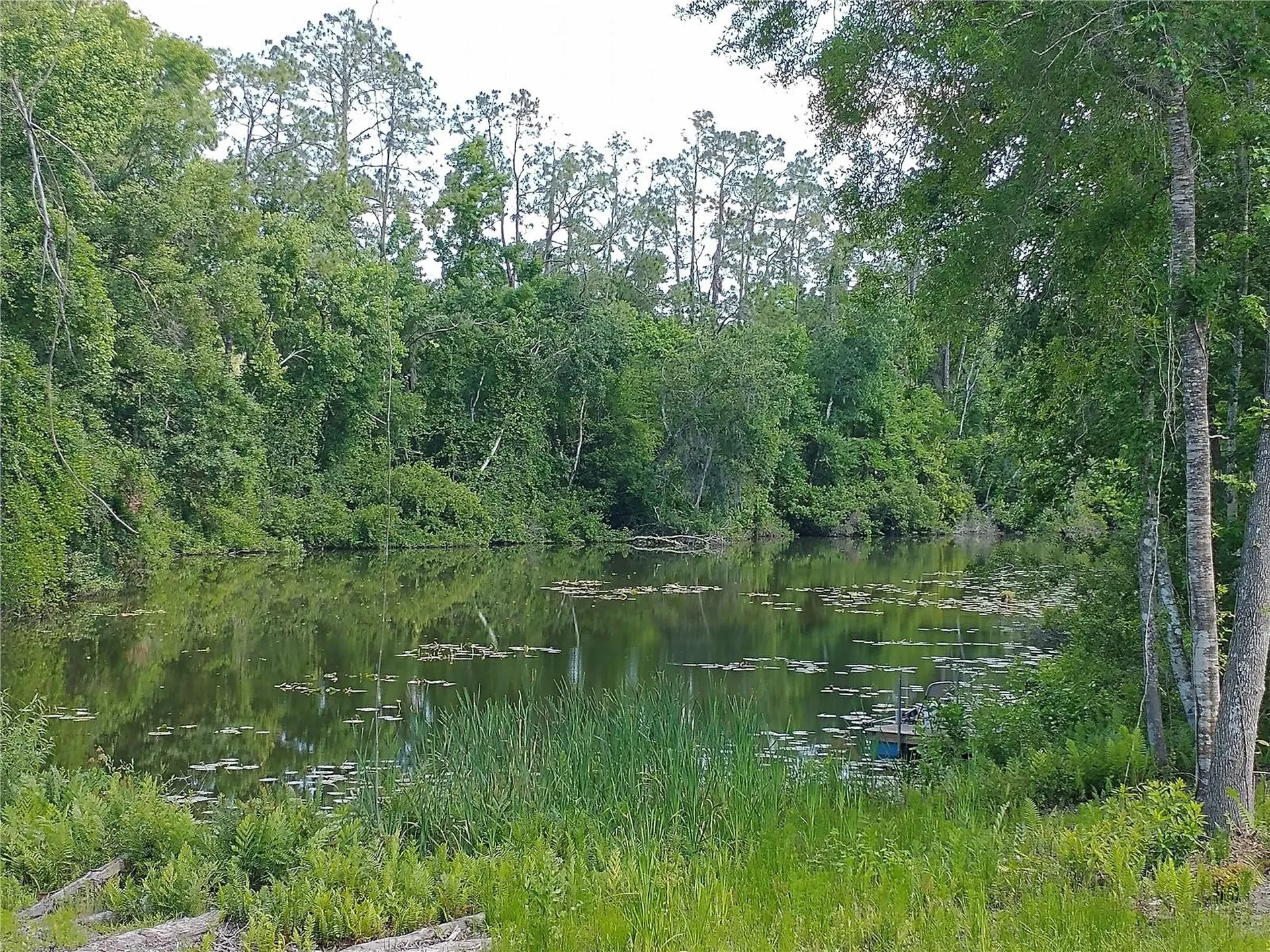 0000 Eagle Boulevard Land O Lakes FL 34639