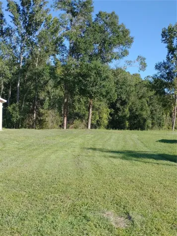 0000 Eagle Boulevard Land O Lakes FL 34639