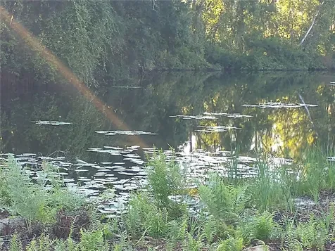 0000 Eagle Boulevard Land O Lakes FL 34639