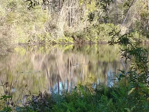 0000 Eagle Boulevard Land O Lakes FL 34639