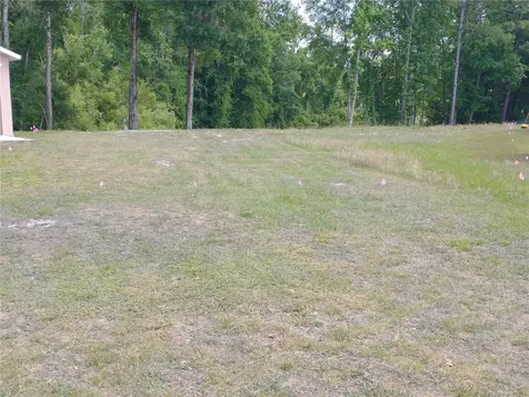 0000 Eagle Boulevard Land O Lakes FL 34639