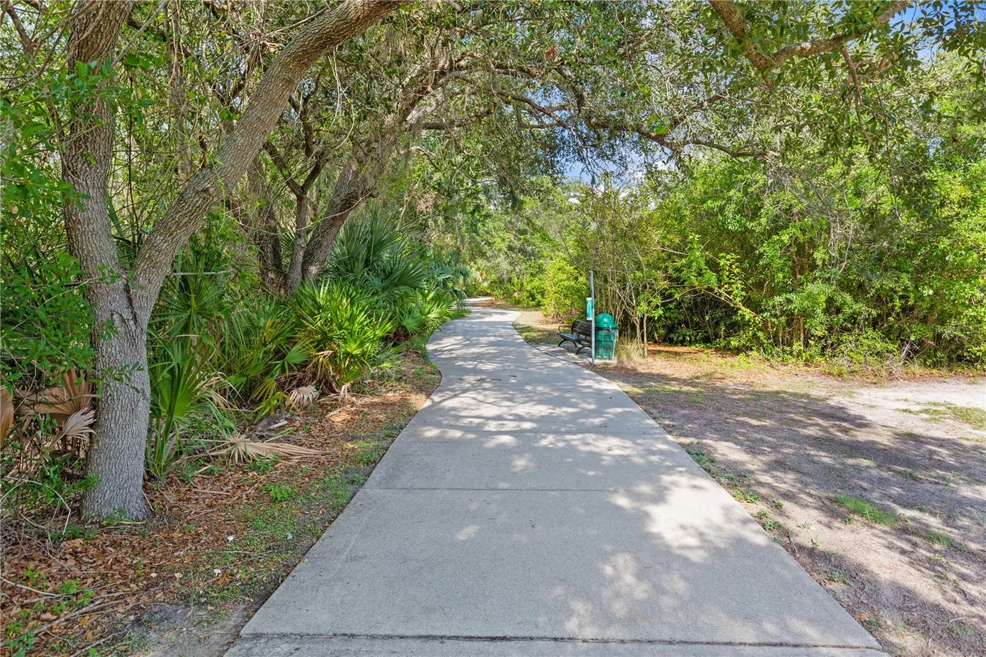 1623 Gray Bark Drive Oldsmar FL 34677