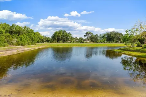 1623 Gray Bark Drive Oldsmar FL 34677
