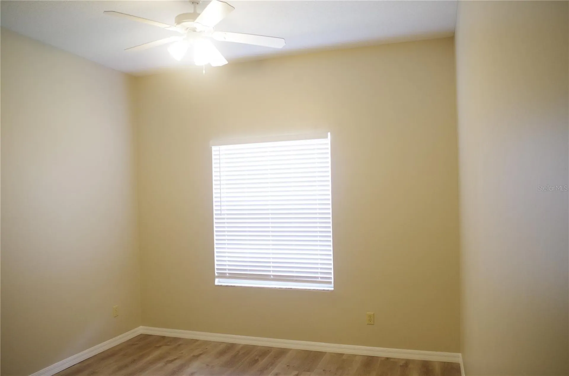 4207 Elba Place Valrico FL 33596