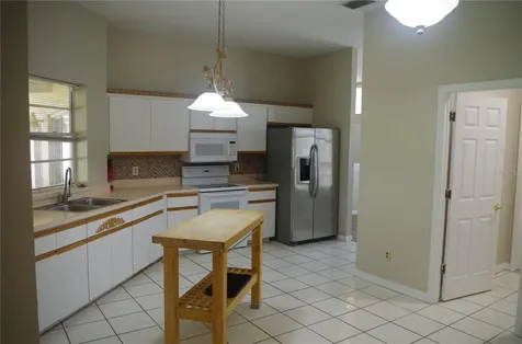 4207 Elba Place Valrico FL 33596