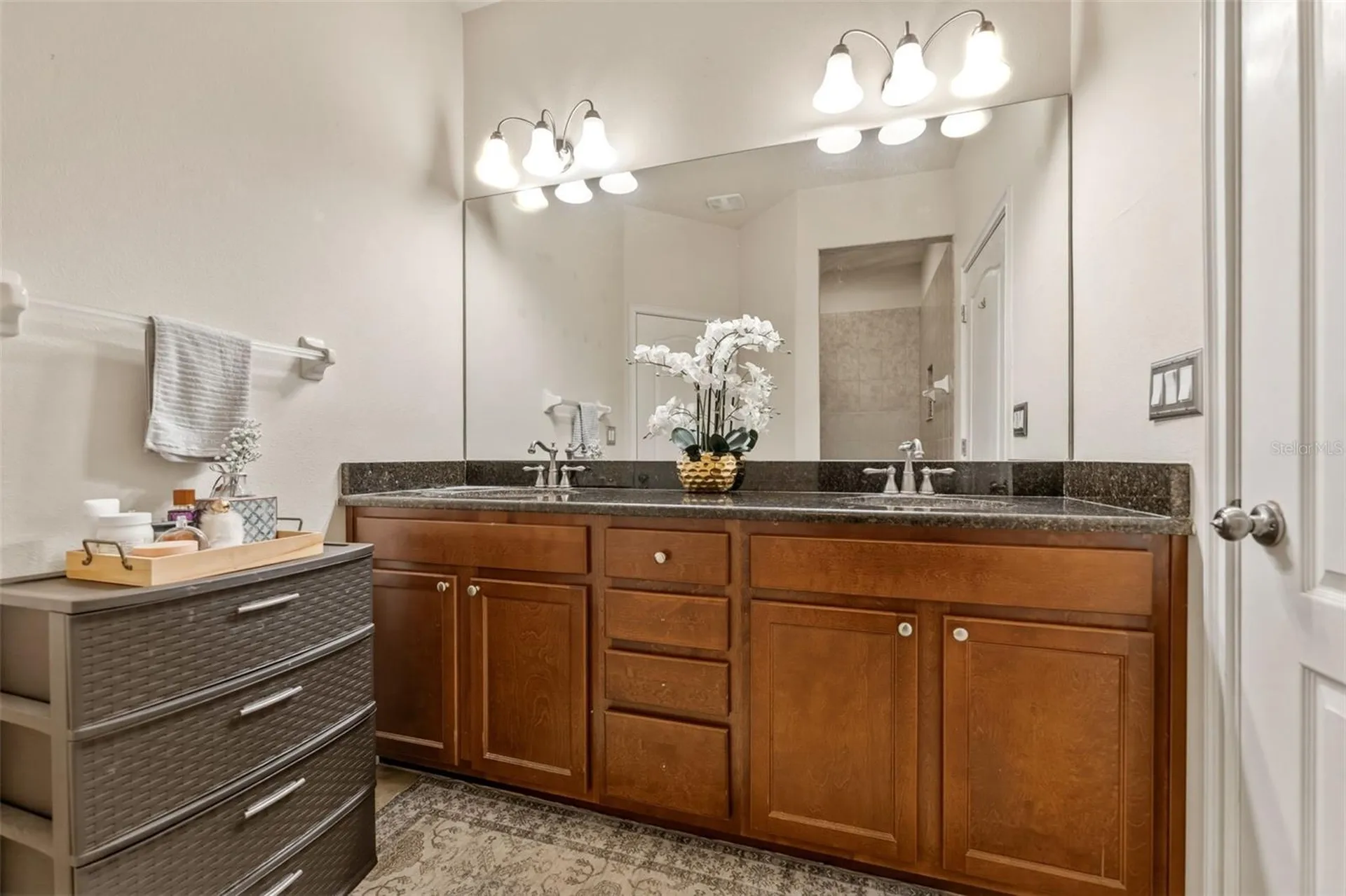 10285 Villa Palazzo Court Tampa FL 33615