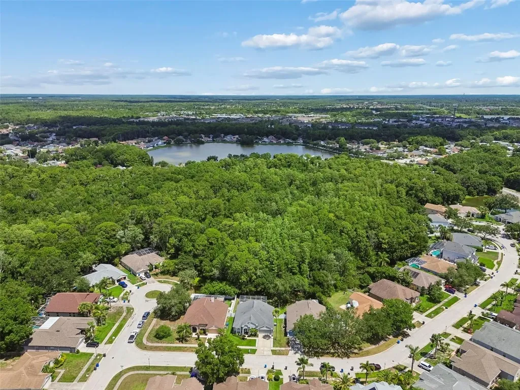 8604 Brookway Circle Tampa FL 33635