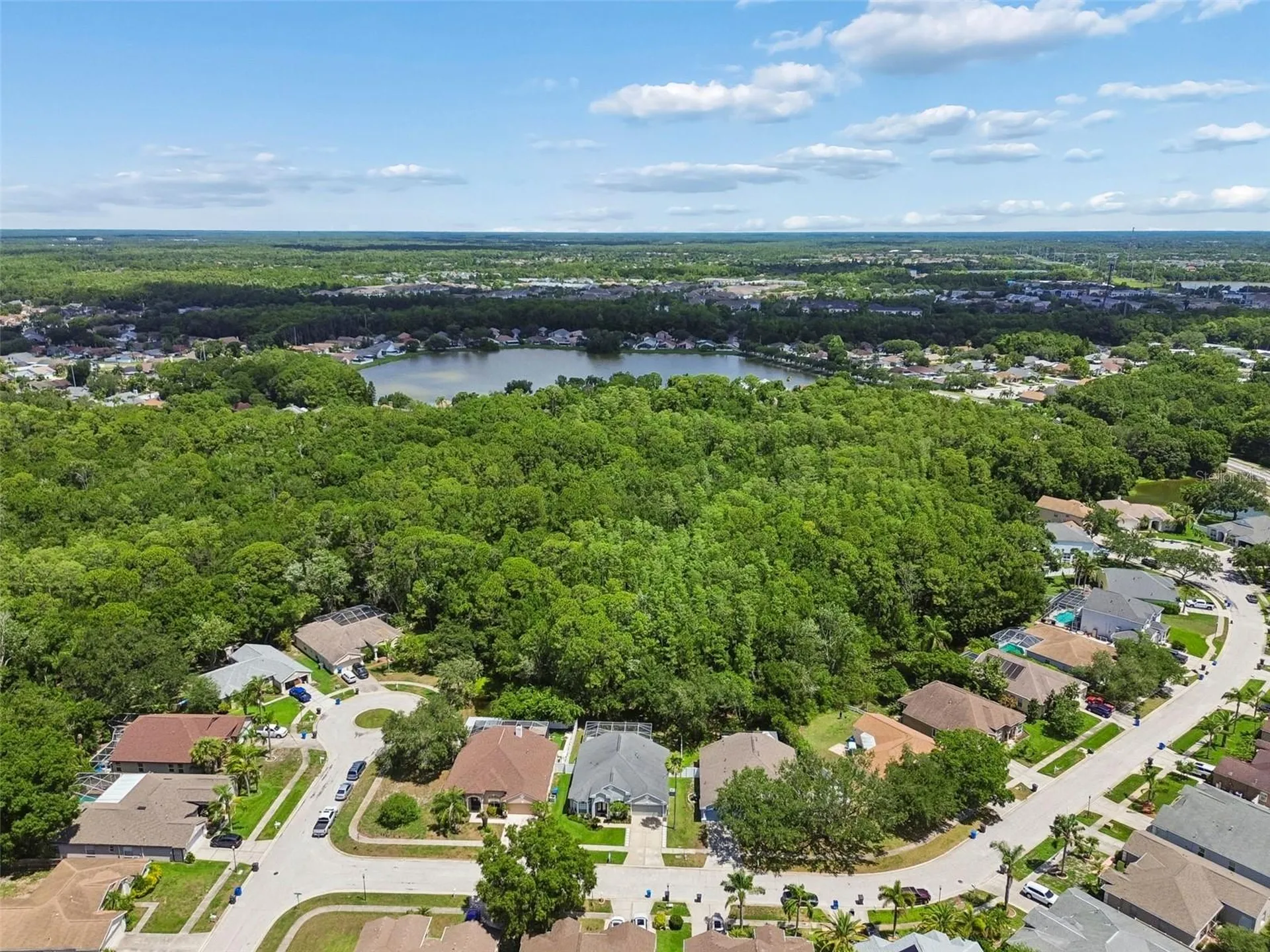 8604 Brookway Circle Tampa FL 33635