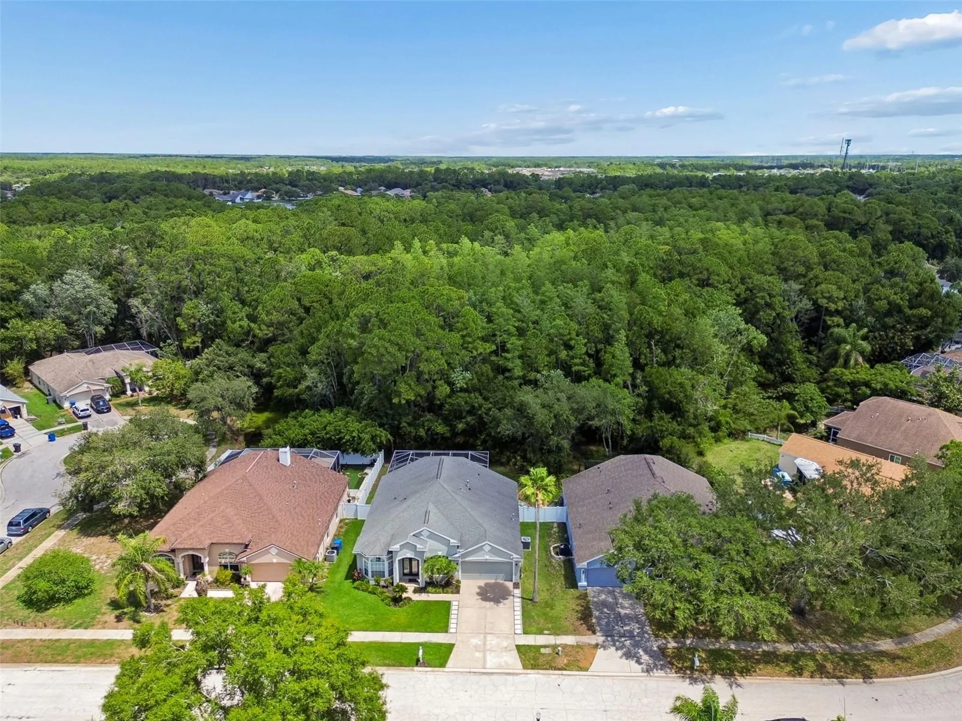 8604 Brookway Circle Tampa FL 33635