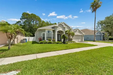 8604 Brookway Circle Tampa FL 33635