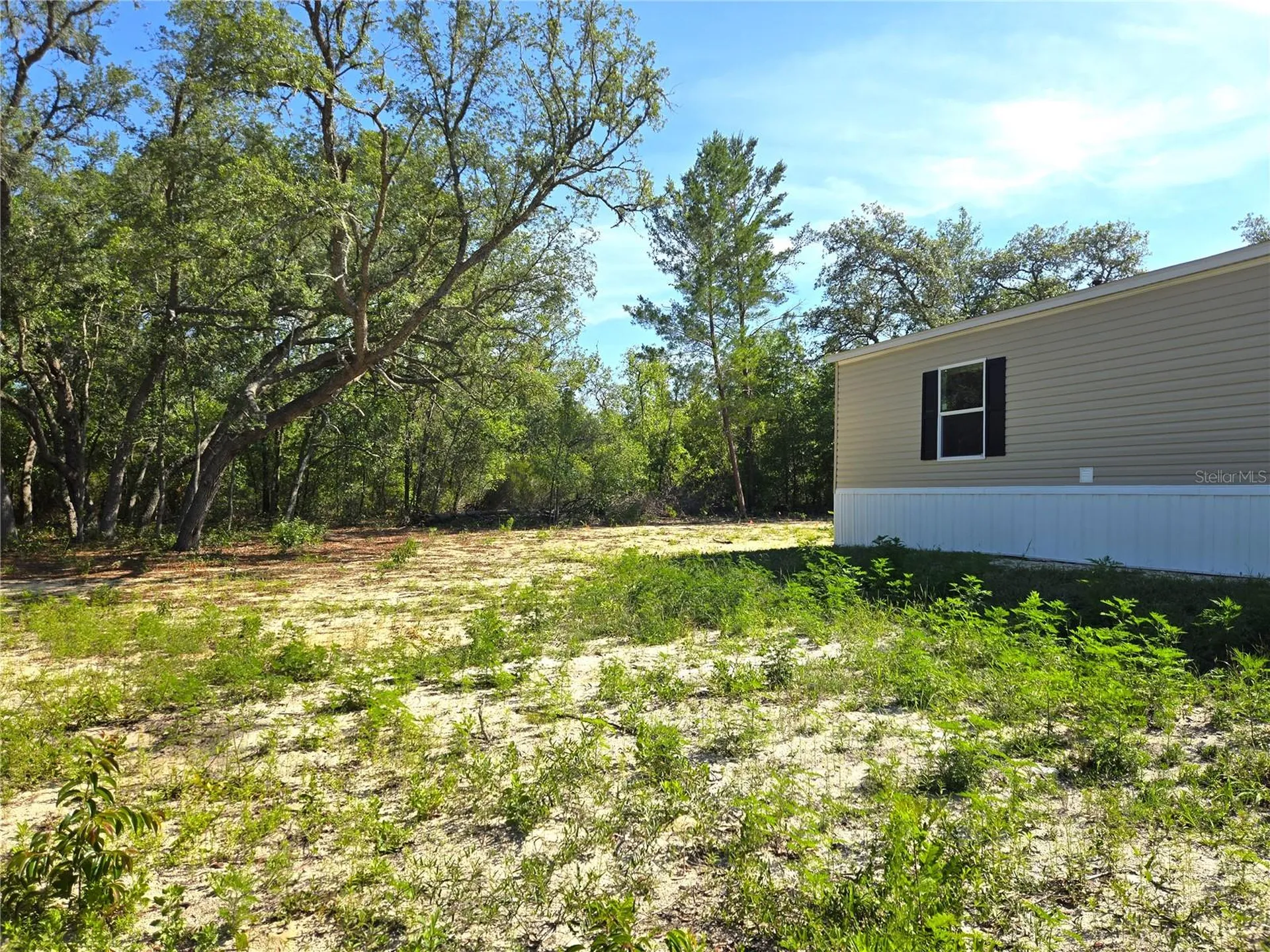 8851 NE 105th Avenue Bronson FL 32621