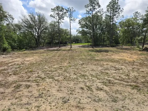 8851 NE 105th Avenue Bronson FL 32621