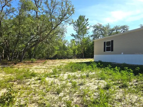 8851 NE 105th Avenue Bronson FL 32621
