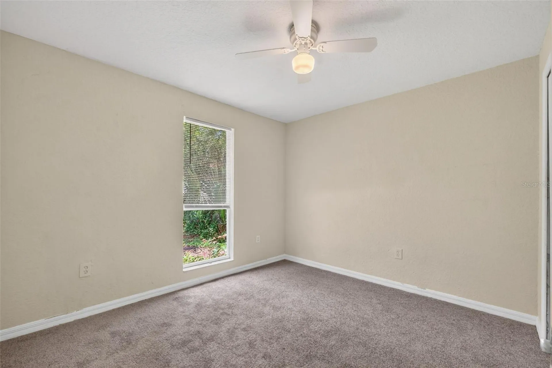 4793 Pleasant Avenue Palm Harbor FL 34683