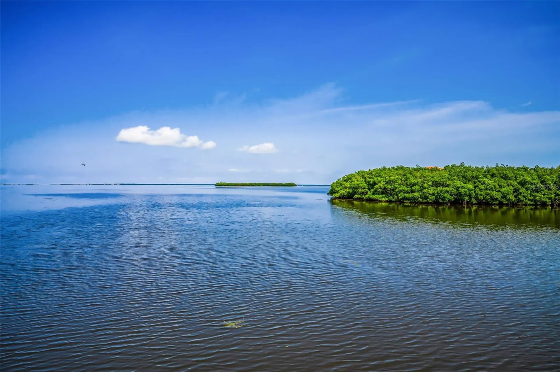 1620 Sea Breeze Drive Tarpon Springs FL 34689